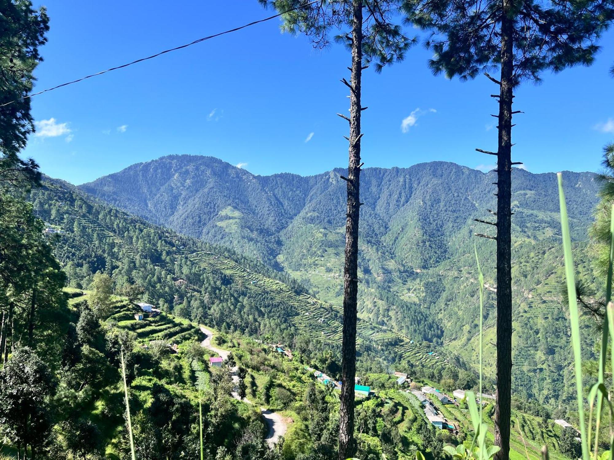 Himalayan Hill Top Resort Kanatal Exteriér fotografie